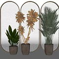 Bonsai Potted Plants With Various Leaf Types In Dark Pots And Metal Frames