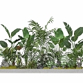 plant pile green plant pile plant shrub green plant combination green belt 3d model