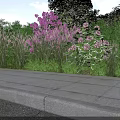 Garden Landscape Design With Purple Flowers Tall Grasses Green Shrubs And Stone Pavement