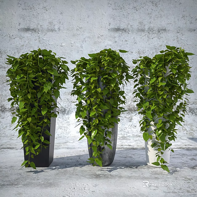 Bonsai Potted Plants with Hanging Long Vines in Different Colored Pots Against Gray Wall Background 3d model 
