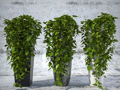 Bonsai Potted Plants with Hanging Long Vines in Different Colored Pots Against Gray Wall Background 3d model