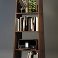 Dark And Light Wooden Bookcases With Multiple Shelves Holding Books Decorations Green Plants And Vase