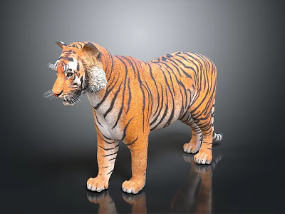 Realistic Tiger 3D Model Standing Pose With Striped Fur And Detailed Features On Black Background 3d model