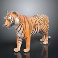 Realistic Tiger 3D Model Standing Pose With Striped Fur And Detailed Features On Black Background