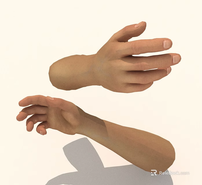 Realistic 3D Hand Models In Different Poses With Shadow On White Background 3d model
