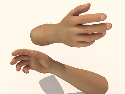 Realistic 3D Hand Models In Different Poses With Shadow On White Background 3d model