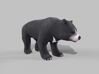 Realistic Black Bear 3D Model With Standing Posture And Detailed Fur 3d model