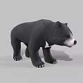 Realistic Black Bear 3D Model With Standing Posture And Detailed Fur 3d model