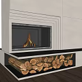 Modern Fireplace With Glass Door And Burning Flames And Wood Storage Area