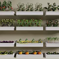 Indoor Multiple Layer Shelf Garden Growing Various Fresh Crops And Vegetables 3d model