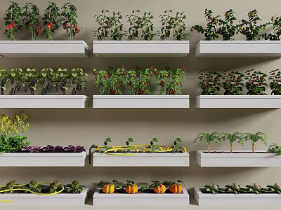 crops vegetable garden vegetable tomato carrot 3d model