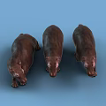 Three Realistic Reptile Figurines In Different Poses On Blue Background 3d model