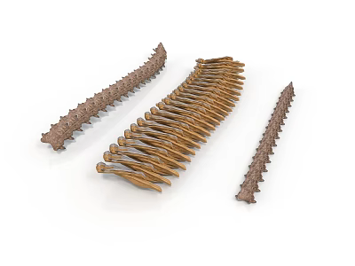 Three Anatomical Skeletal Spinal Vertebrae Models with Bony Projections and Brown Surface 3d model