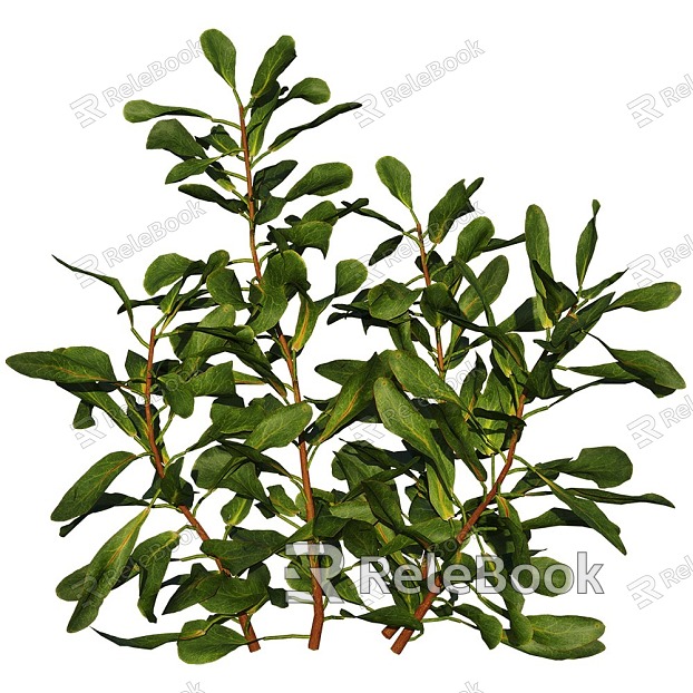 tree landscape tree shrub plant model