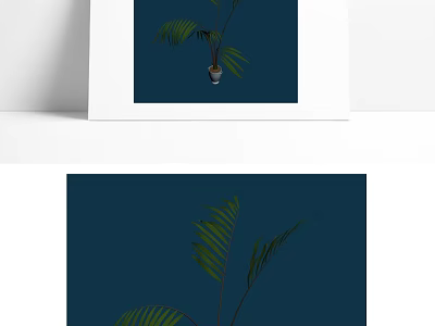 Bonsai Plant With Green Long Fronds In Minimalist Pot On Dark Blue Background 3d model