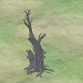 Isolated Dead Bush With Twisted Branches And Exposed Roots On Grass Field