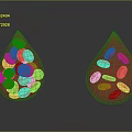Advanced Medical Devices for Hematology Analysis Featuring Red Blood Cell Droplets