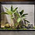 Indoor plants landscape sketch courtyard sketch banana tree banana tree stone moss water bowl 3d model