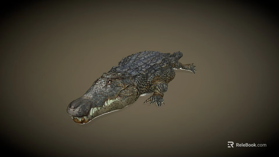 Detailed Realistic Crocodile 3D Model With Open Mouth And Textured Skin 3d model 