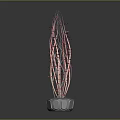 Red Slender Cactus like Plant With Long Stems And White Illuminated Base For Indoor Decor