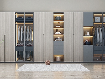 Modern wardrobe model