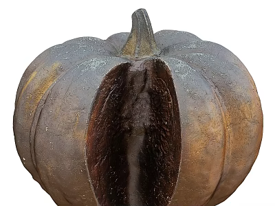 Home Decor Metallic Pumpkin Sculpture With Textured Surface And Dark Center 3d model