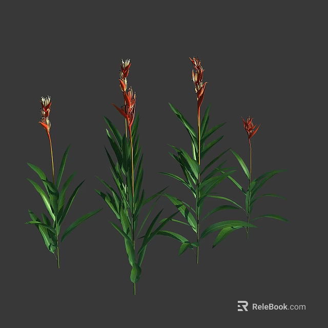 Tropical Plants With Red Flowers And Green Leaves In Decorative Arrangement 3d model 