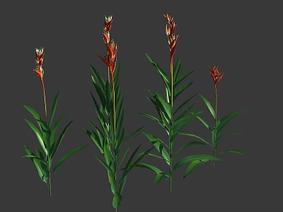 Tropical Plants With Red Flowers And Green Leaves In Decorative Arrangement 3d model