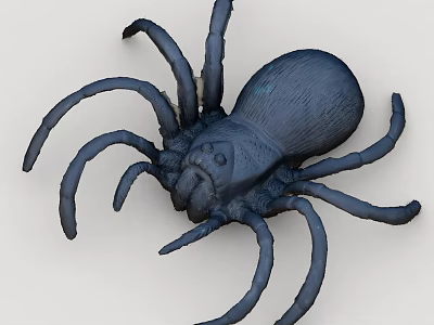 Realistic Black Spider With Detailed Legs And Lifelike 3D Model Design 3d model