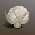 Fresh Whole Cauliflower with Green Leaves and White Florets for Healthy Eating Habits