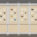 Storage Cabinet Rack With Wooden Drawers And Metal Frame For Butterfly Specimens