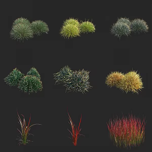 haystack red baron white grass bloodgrass decorative grass weeds flowers 3d model