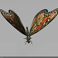 Vibrant Butterfly With Orange And Black Wings Featuring Detailed White Spots And Spread Wings