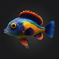 Vibrant Colorful Tropical Fish With Blue Orange Yellow Scales And Bright Fins