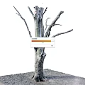 Bare Branch Arbor With Thick Trunk And Exposed Roots In Surrounding Soil 3d model
