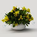 Bonsai Potted Plant With Vibrant Yellow Flowers And Lush Green Leaves In White Pot