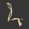 Detailed Animal Limb Skeleton Model With Paw Structure And Anatomical Features