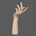 Realistic Human Hand and Arm with White Nails on Gray Background 3d model
