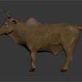 Realistic Brown Bull With Horns Standing In Gray Background Rendered 3d model