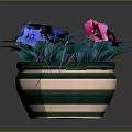 Potted Plant With Pink And Blue Flowers Green Leaves In Striped Pot
