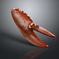 Red Lobster Claw With White Spots Isolated On Gray Background Showing Reflection 3d model