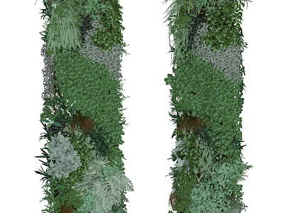 Vertical Green Living Wall Design With Diverse Plant Species And Lush Foliage 3d model