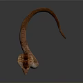 snake cobra venomous snake python reptile cold-blooded animal reptile 3d model