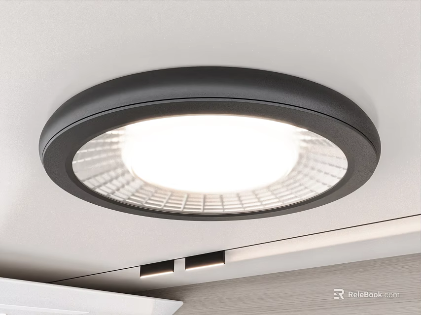 Modern Round Black Frame Ceiling Light With Mesh Shade And Bright White Glow 3d model