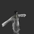 Mysterious Game And Movie Character With Long Hair Flowing Transparent Clothing And Outstretched Arms