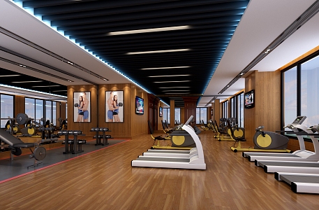 Gym Equipment Painting 3d model