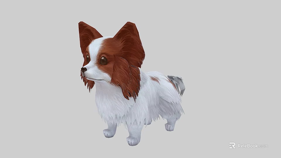 Brown And White Papillon Dog With Fluffy Coat In Standing Pose On Neutral Background 3d model 