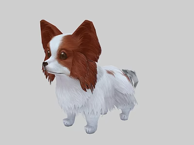 Brown And White Papillon Dog With Fluffy Coat In Standing Pose On Neutral Background 3d model