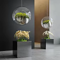 Indoor Landscape With Hanging Glass Orbs Green Plants Stones Black Square Planters Yellow White Orchids