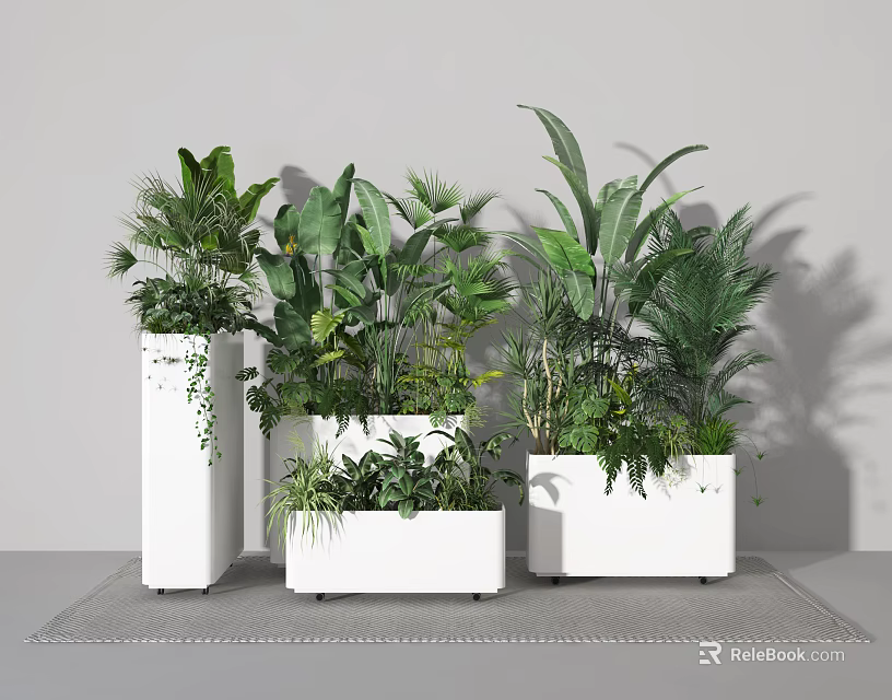 Modern Indoor Bonsai Potted Plants with Various Green Leaves in White Pots 3d model 